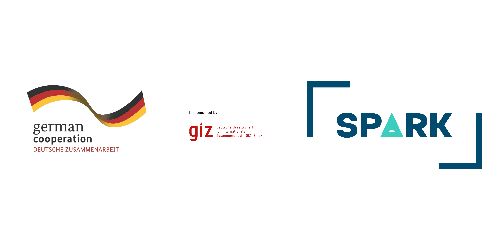 GIZ SPARK