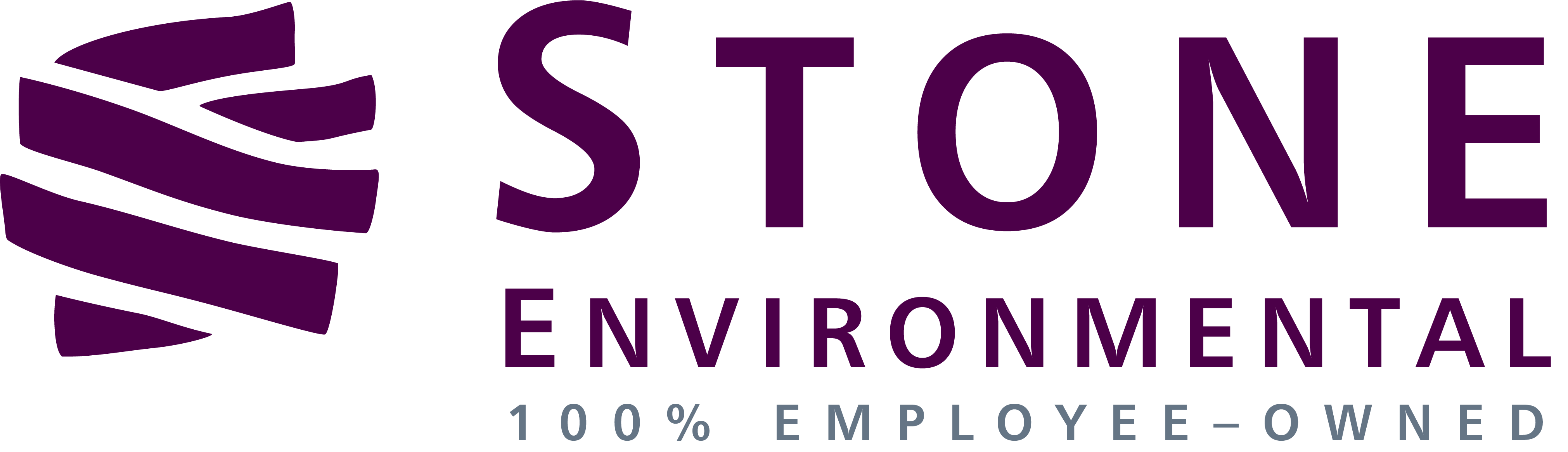 Stone Environmental