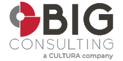 Big Consulting