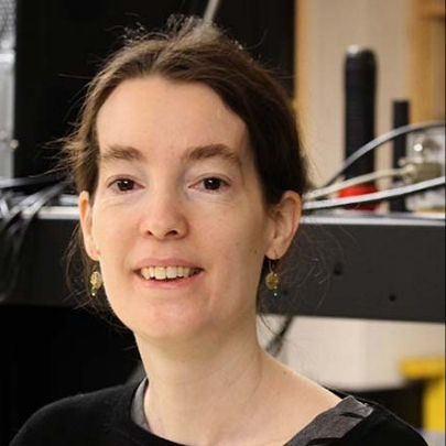 Prof. Amy Stevens