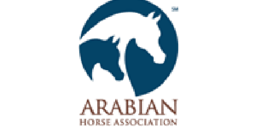 Arabian Horse Association (AHA)