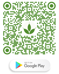 Greenstone Conference - Google Store