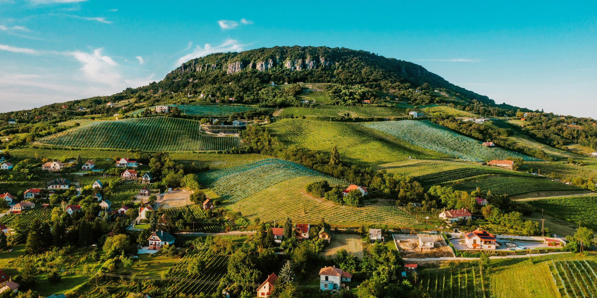 Explore the wines of Hungary